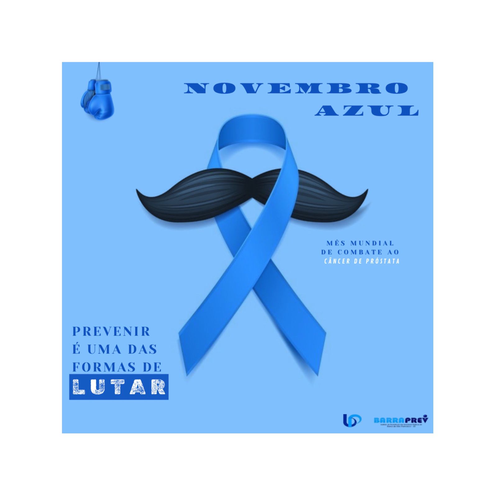 Mês de Conscientização – NOVEMBRO AZUL